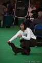 Crufts2011_2 698